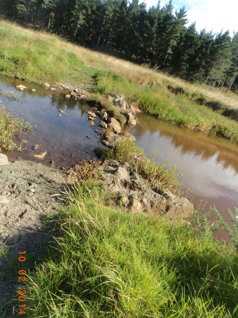 Te Arai Weir February 2016