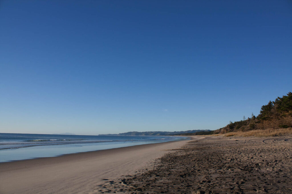 Te Arai south